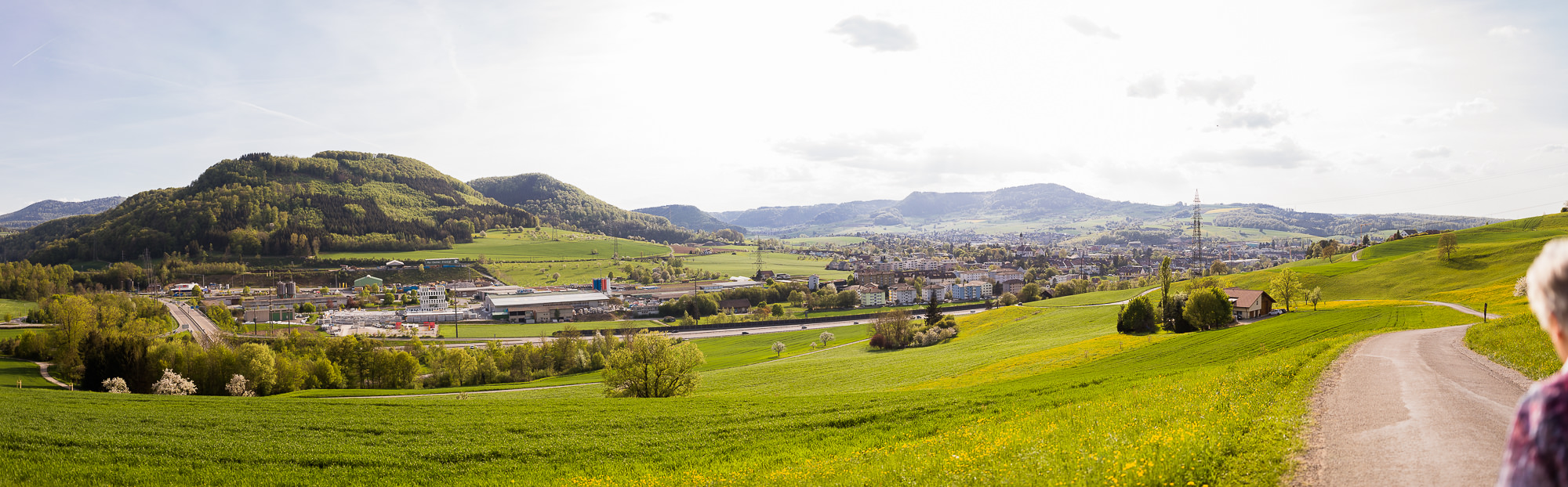 Export x3 5D4 5650 Pano Geburtstag 75 Klara @ Golffricktal